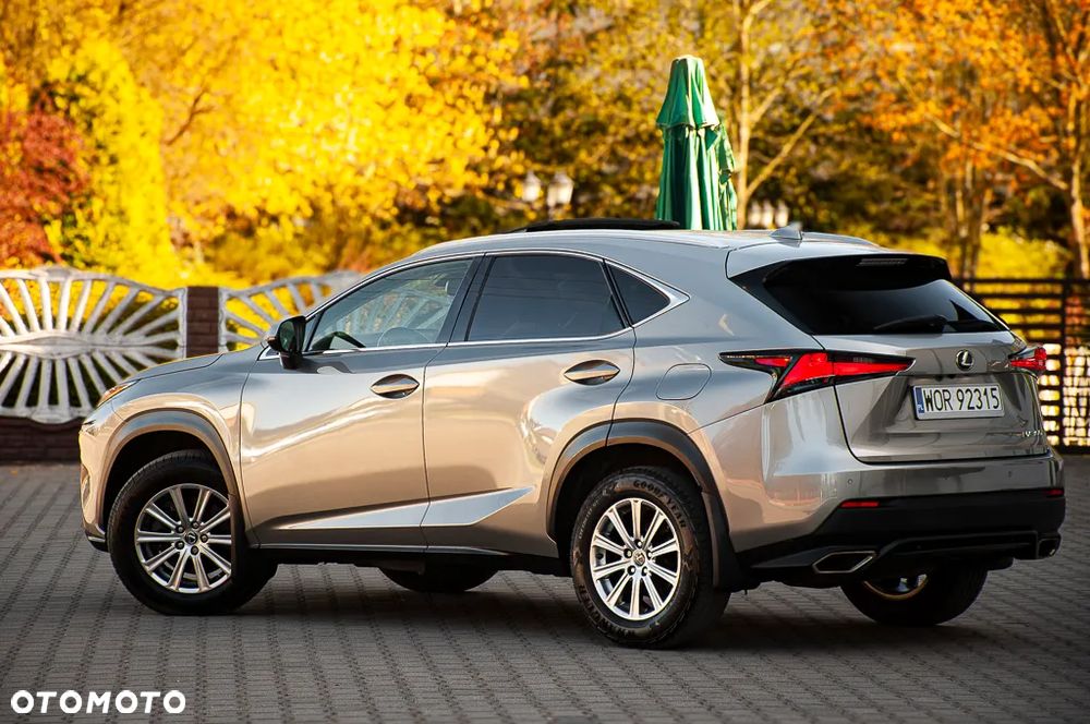 Lexus NX 300 AWD - 13