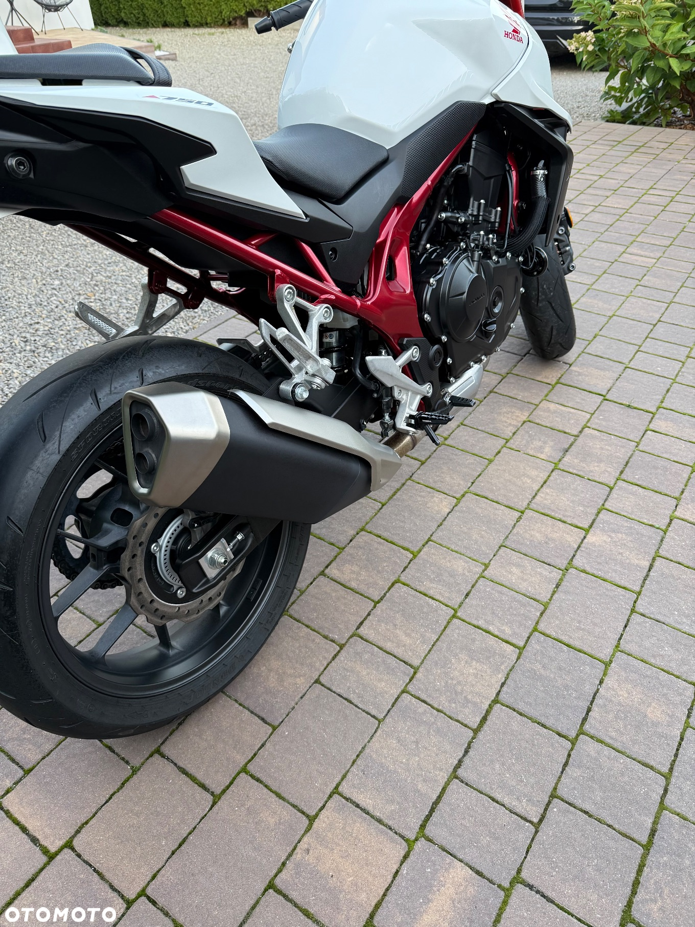 Honda Hornet - 10
