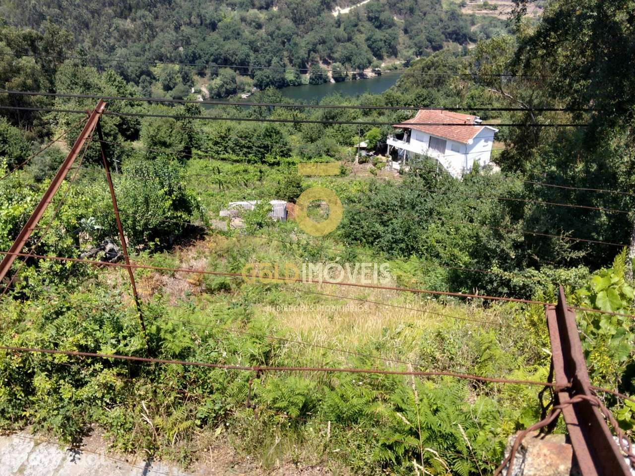 Terreno Rústico - Grande imagem: 5/9