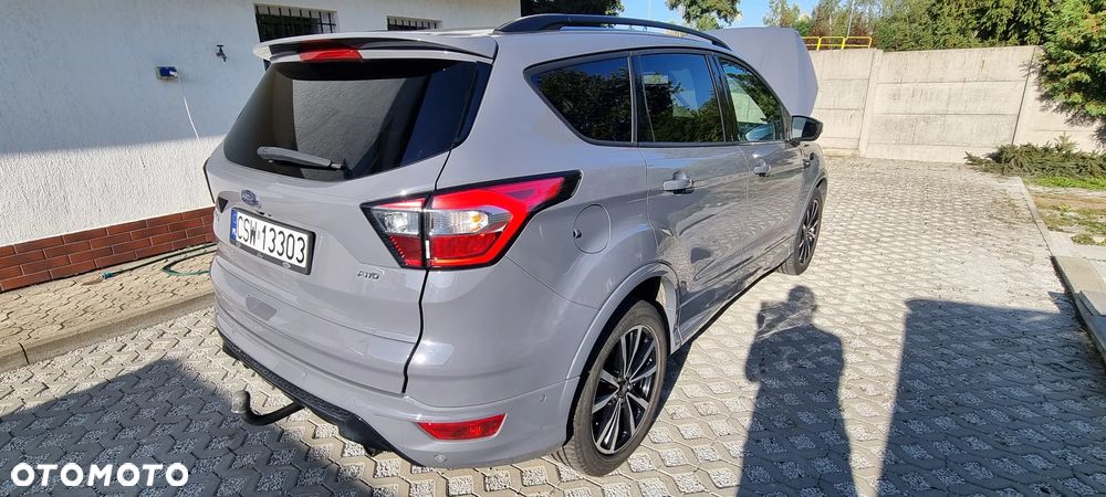 Ford Kuga 2019 photo 3