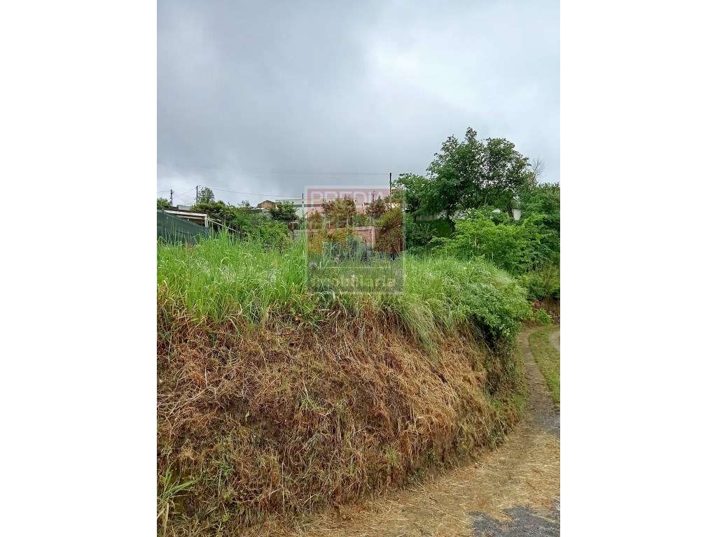 TERRENO PARA CONSTRUÇÃO EM VILAR - OLIVEIRA DE AZEMEIS - Grande imagem: 3/9
