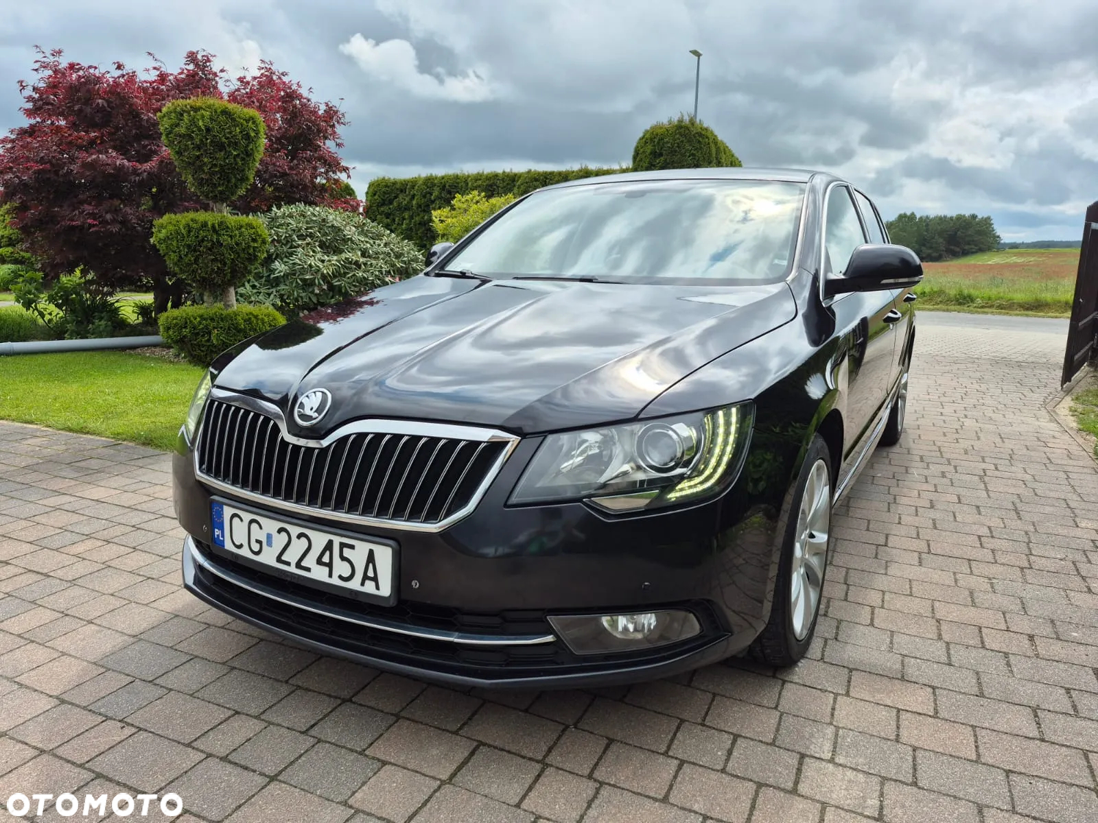 Skoda Superb 2.0 TDI Business DSG - 14