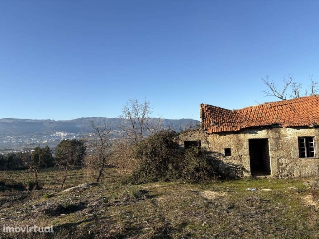 Quinta com casa em pedra para recuperar - Grande imagem: 4/20