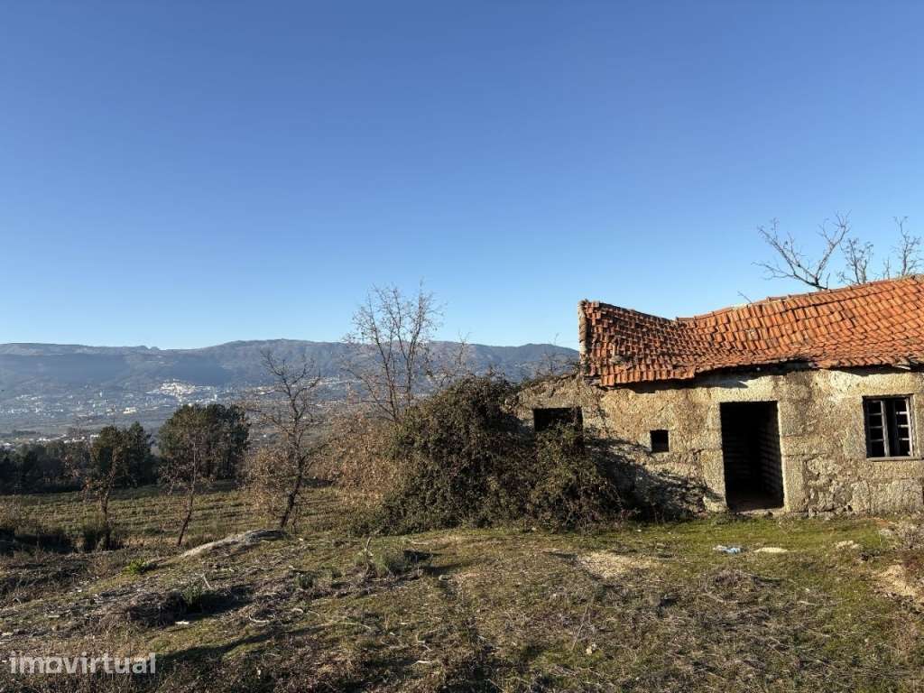 Quinta com casa em pedra para recuperar - Grande imagem: 4/20