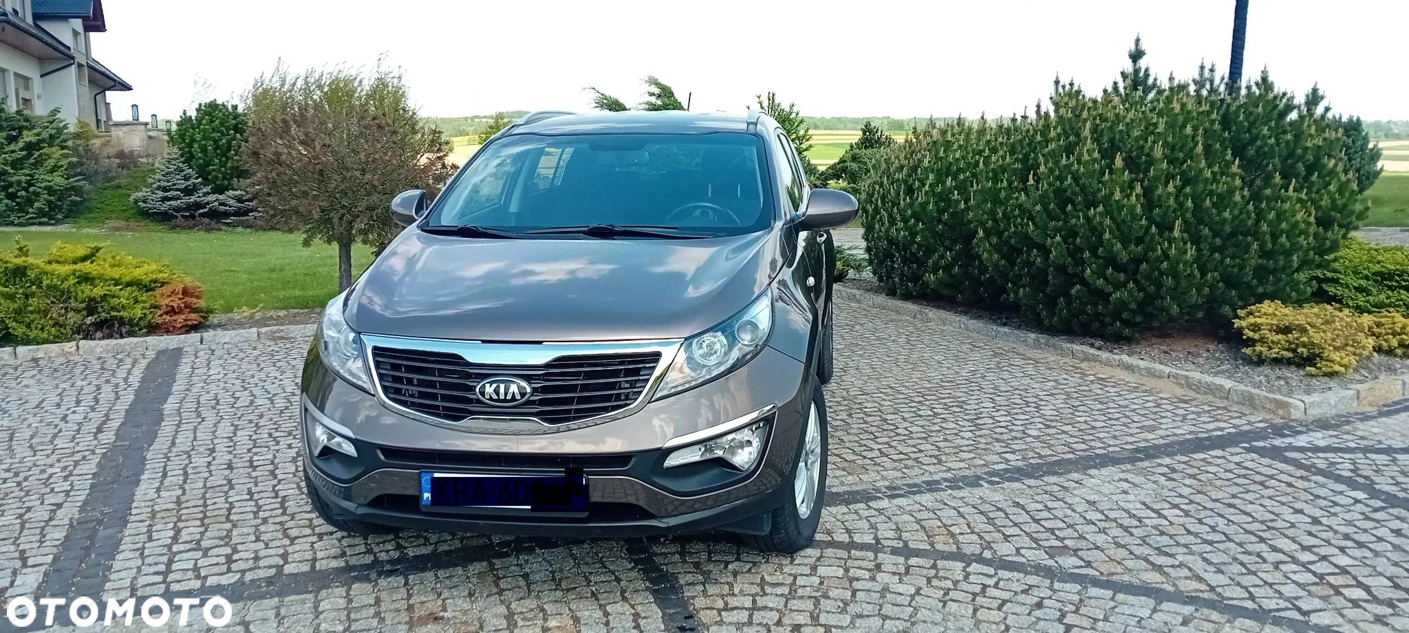 Kia Sportage - 1