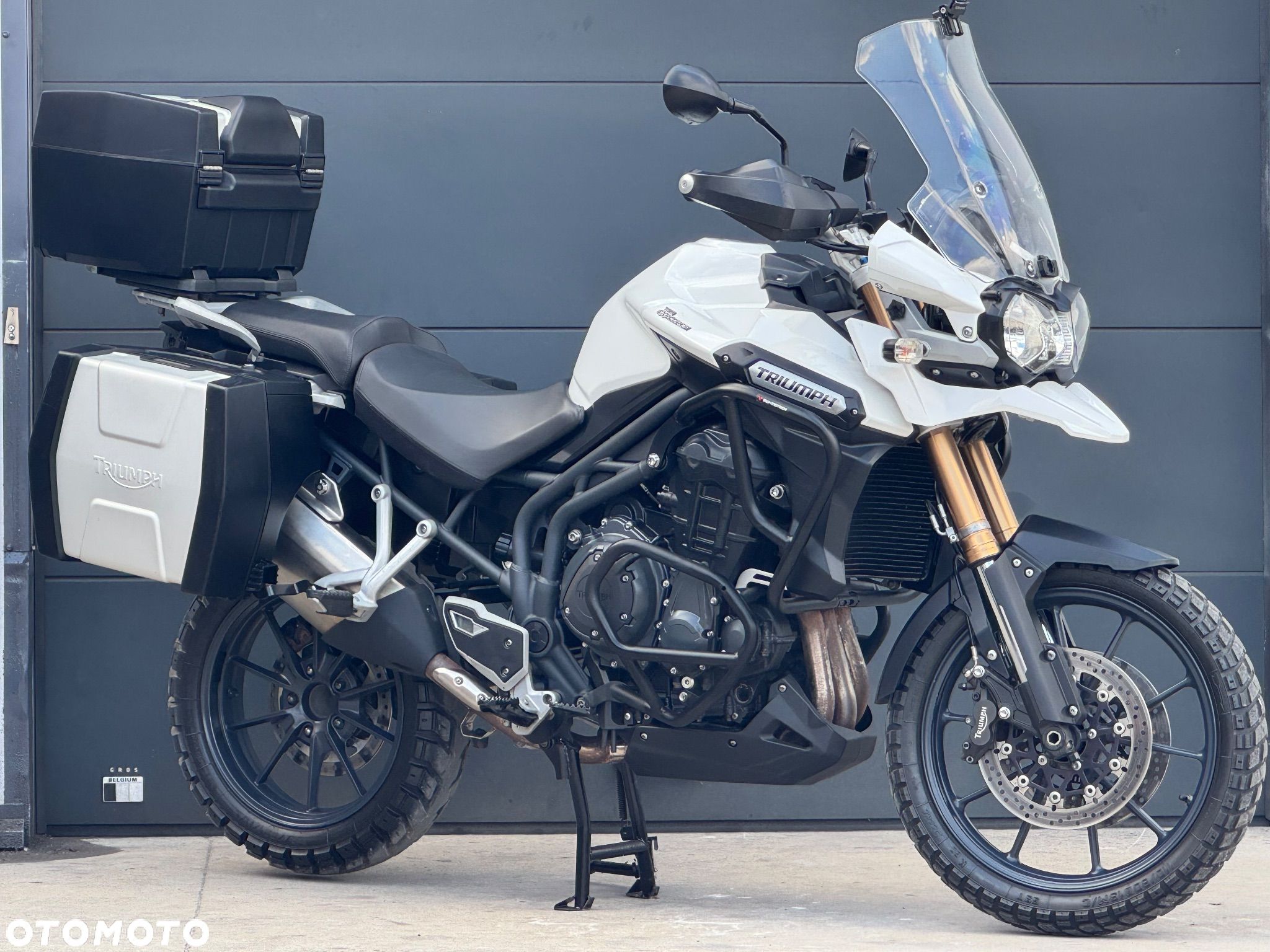 Triumph Tiger - 1