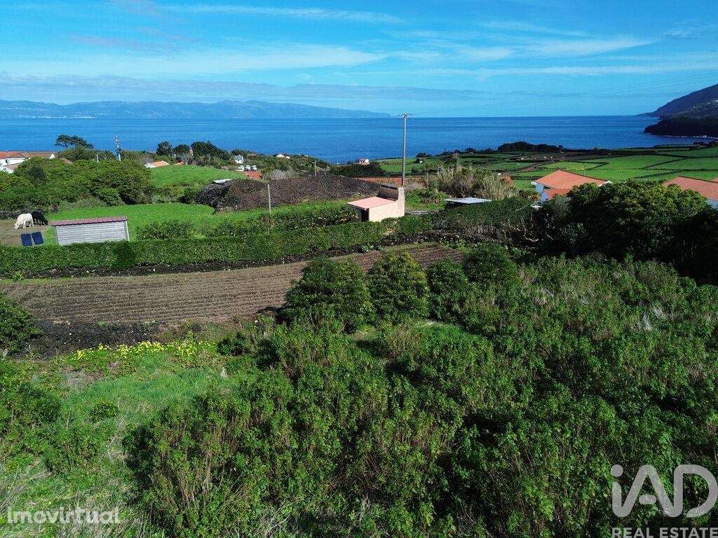 Terreno em Prainha de 1312,00 m2 - Grande imagem: 3/8