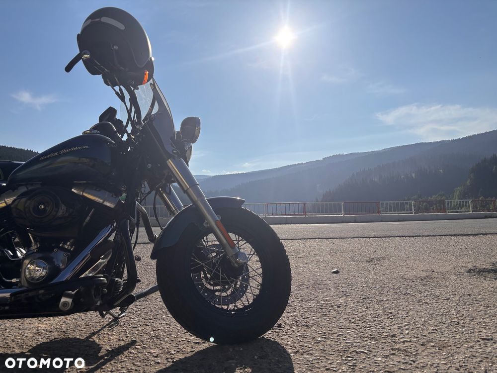 Harley-Davidson Softail - 15
