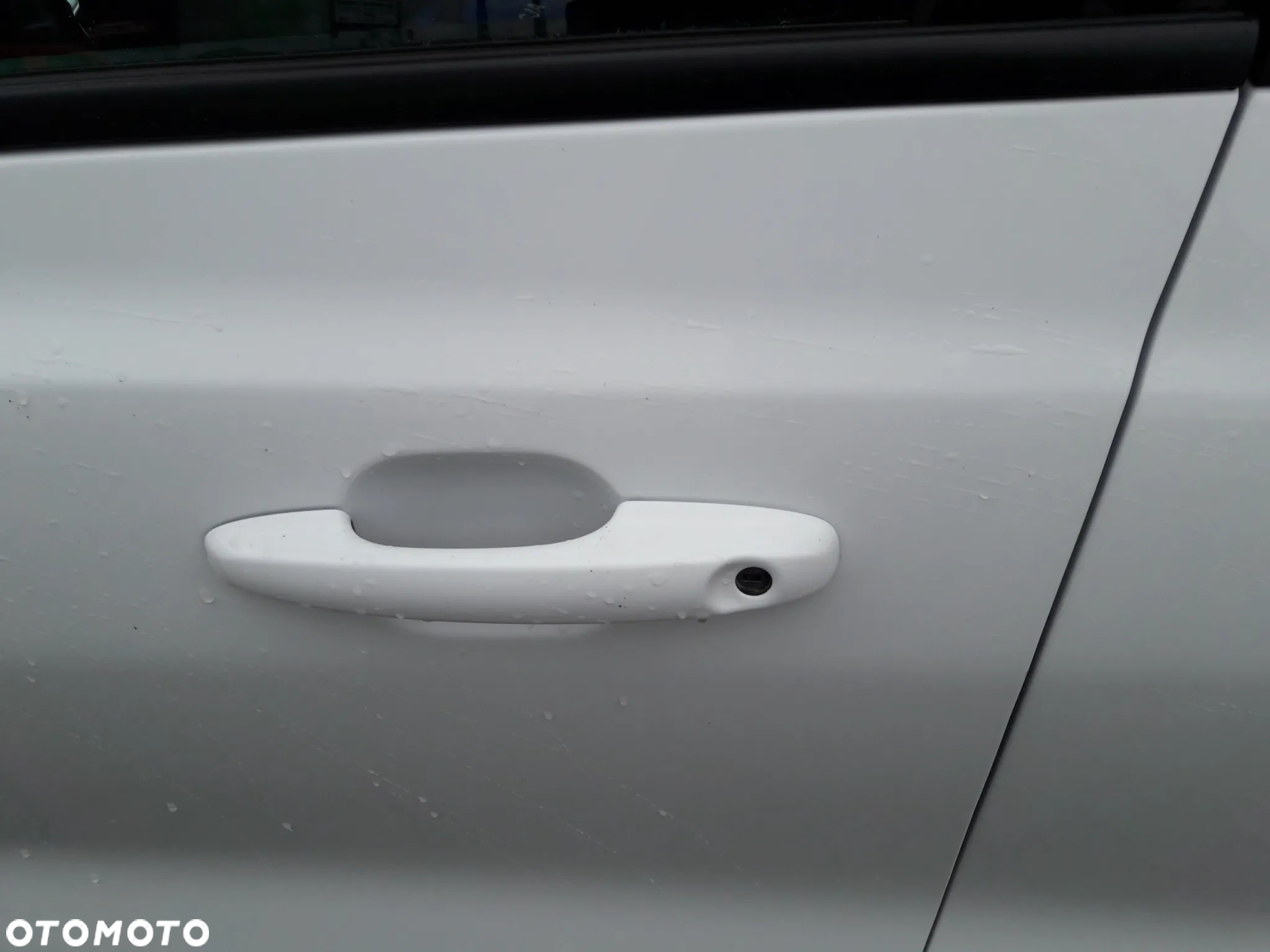 Ford Focus Turnier 1.5 EcoBlue Start-Stopp-System ACTIVE X - 20