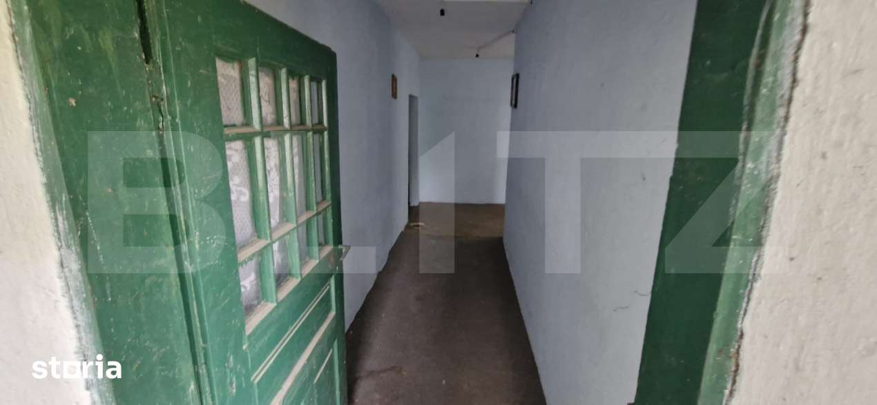 Domeniu polivalent, ideal pentru 2 familii / afacere, 300 mp, zona Sud - Imagine principală: 4/10