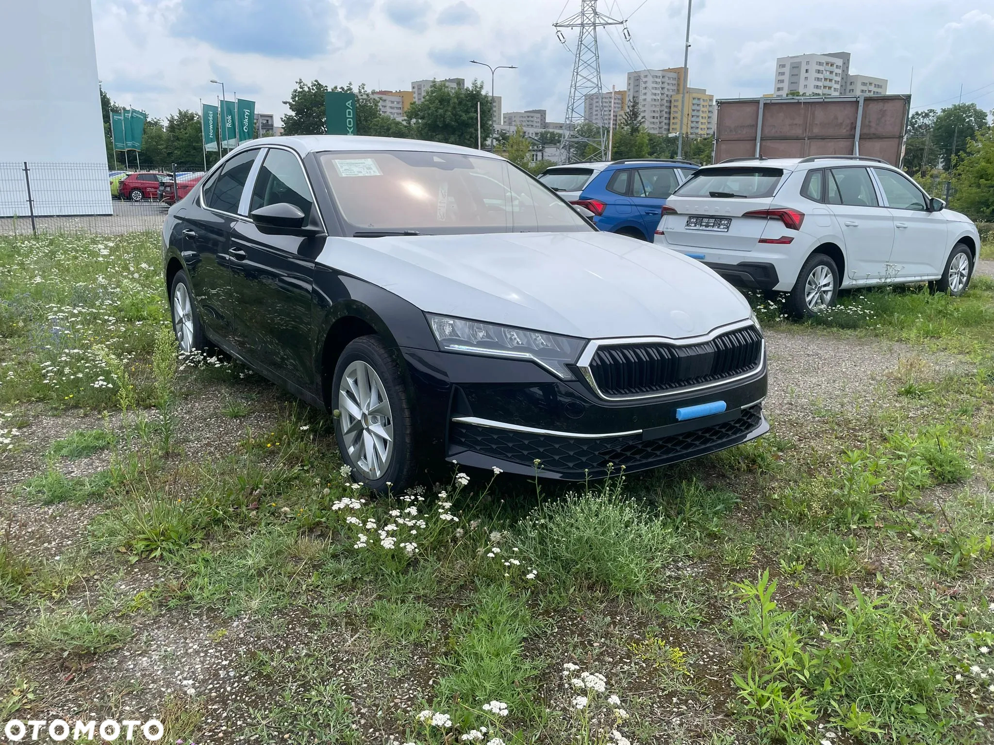 Skoda Octavia - 2