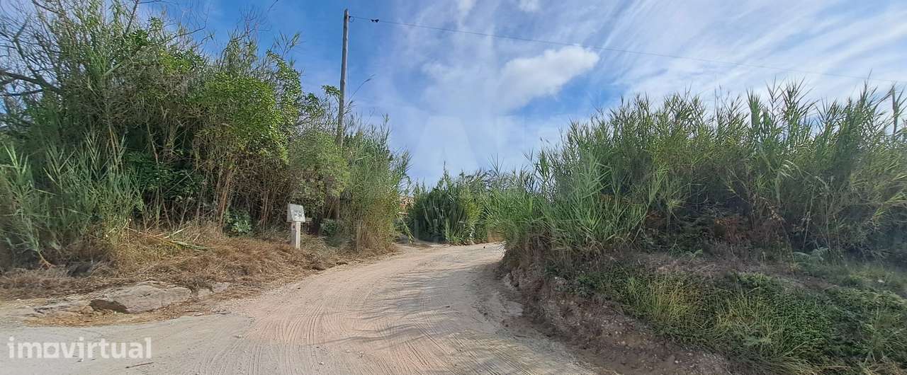 2 Lotes de Terreno (Rústicos) Serra dos Mangues, São Martinho do P... - Grande imagem: 4/9