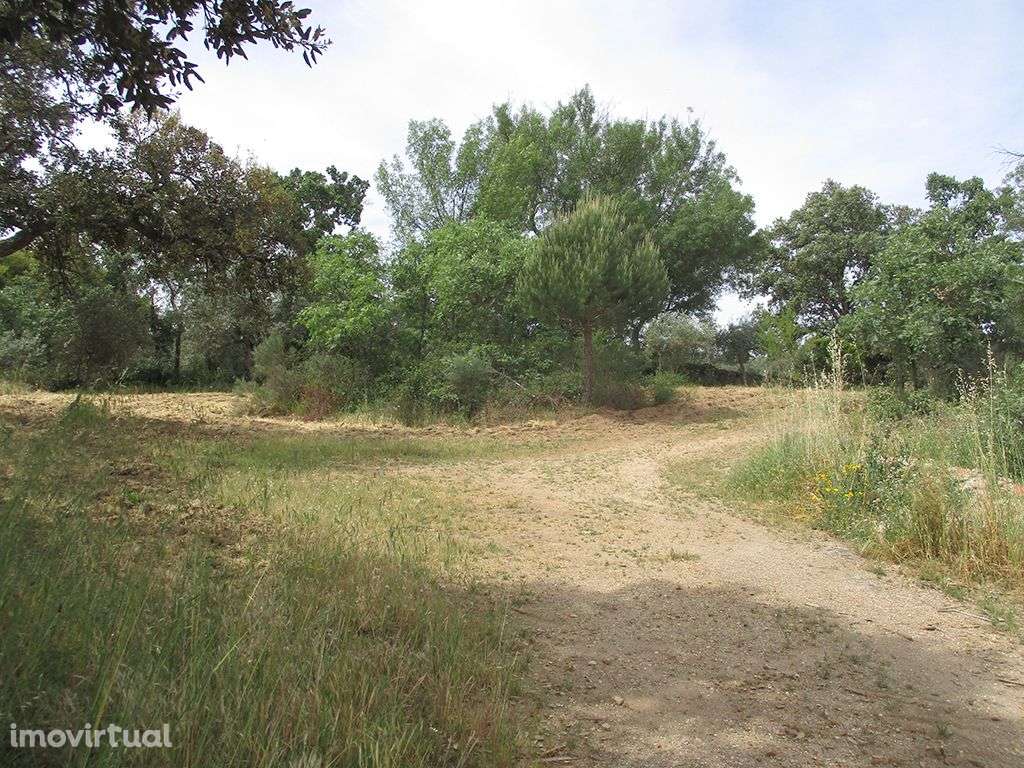 Quinta - Grande imagem: 3/10