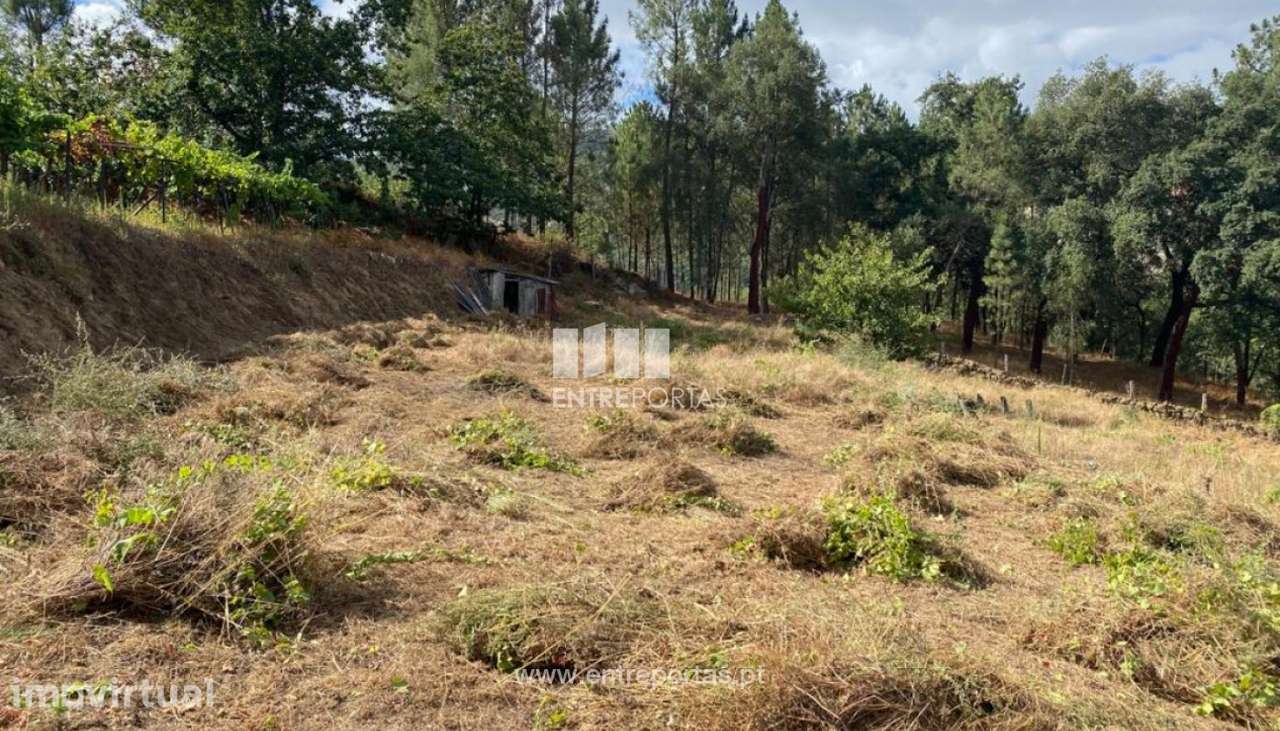 Venda Terreno para Construção de uma Moradia, Frende, Baião - Grande imagem: 3/29