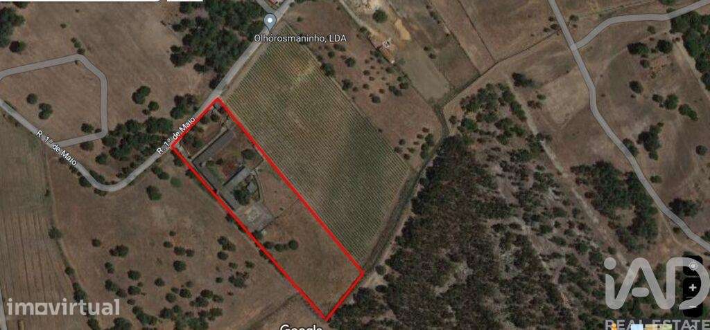 Terreno em Quinta do Anjo - Grande imagem: 3/16