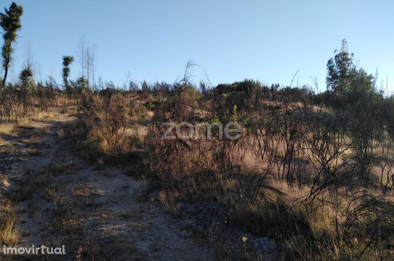 Terreno 8.533m2 em Sameice - Seia - Grande imagem: 3/21