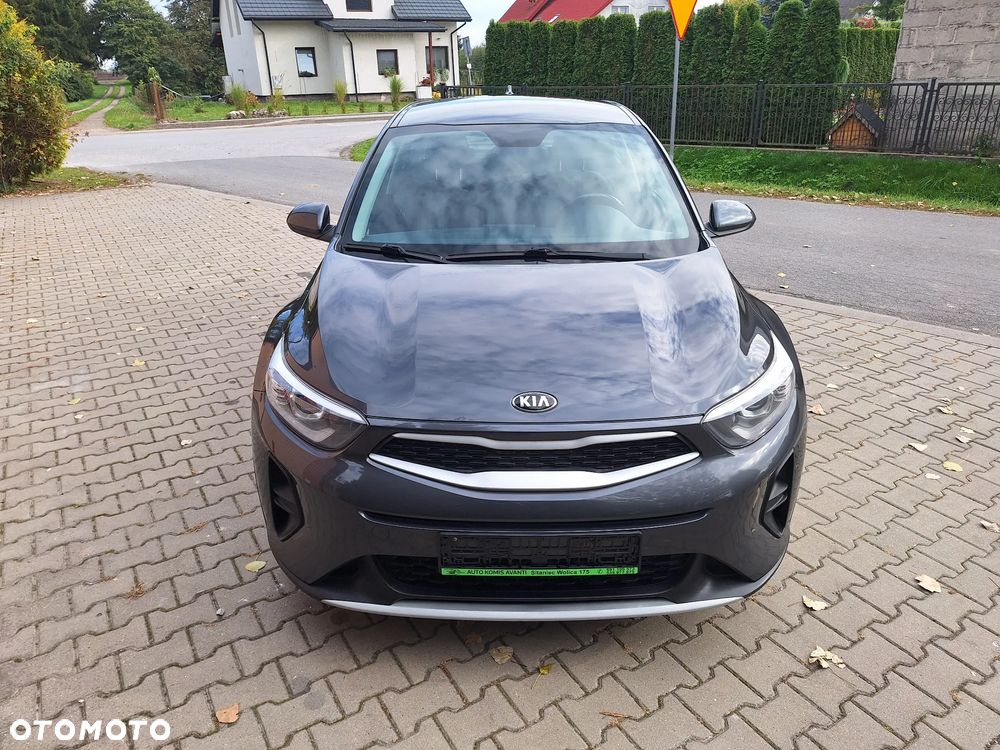 Kia Stonic - 20