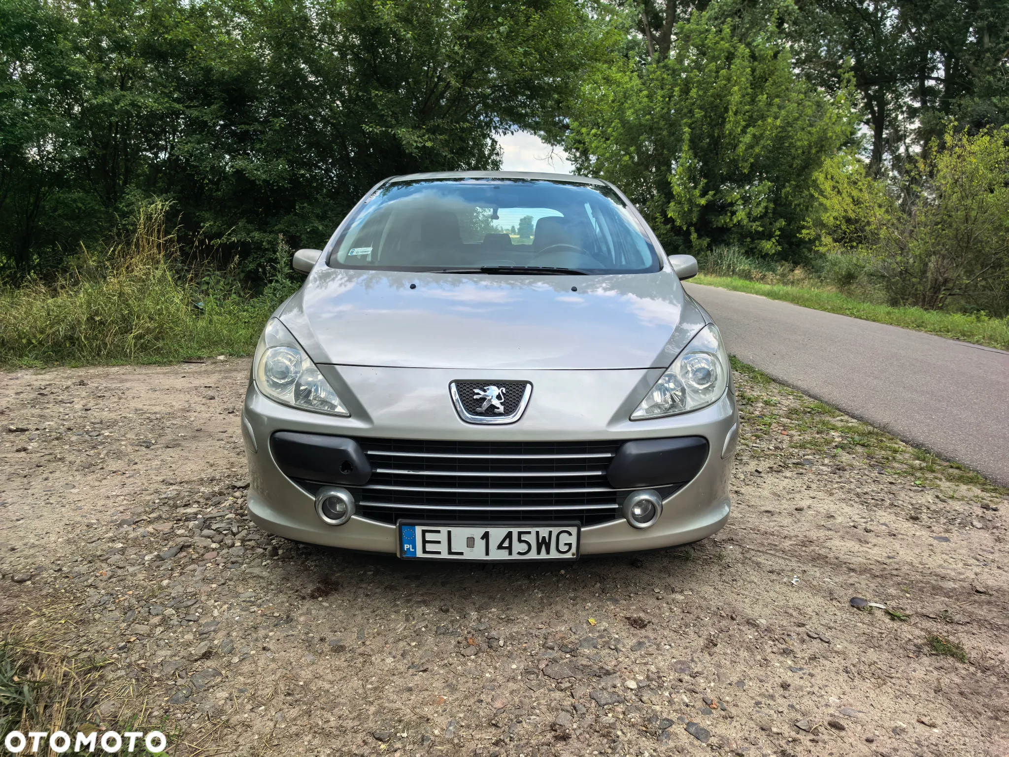 Peugeot 307 1.6 Oxygene - 3