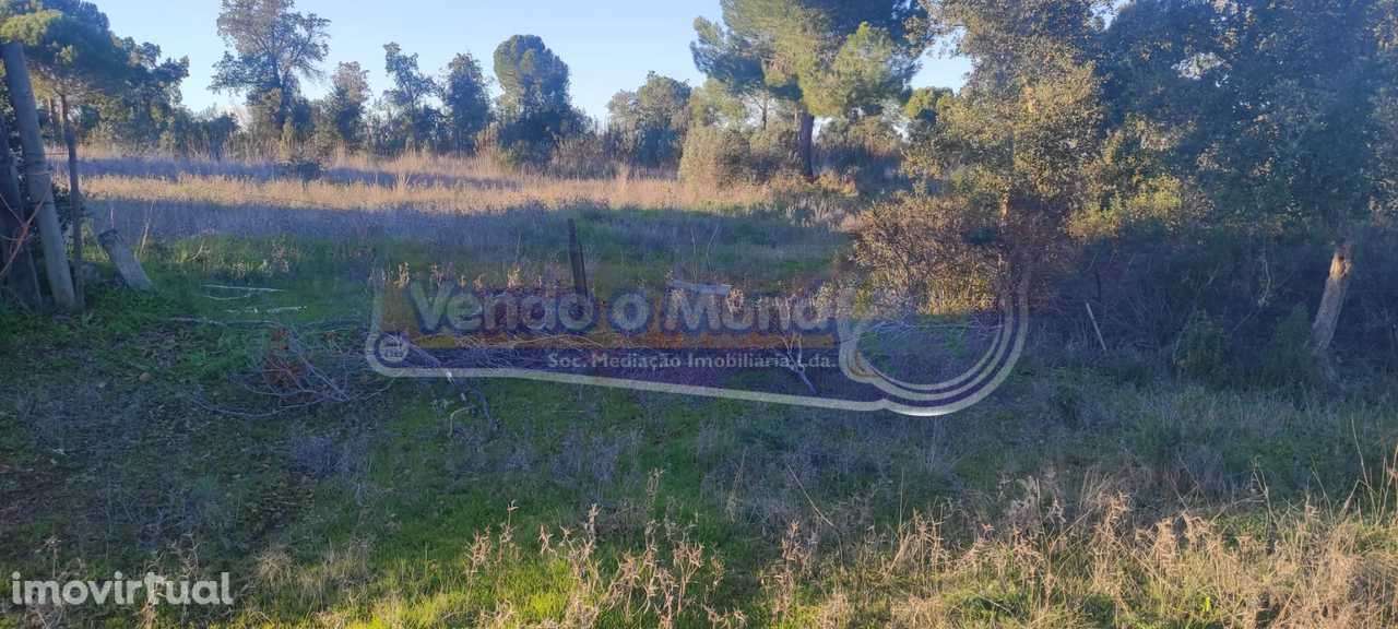 Terreno em Mora (MOR088) - Grande imagem: 5/5