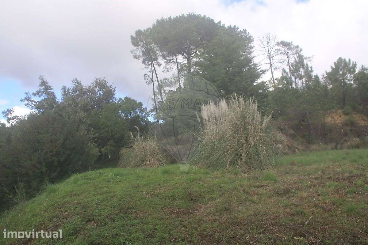 Terreno  para venda - Grande imagem: 2/16