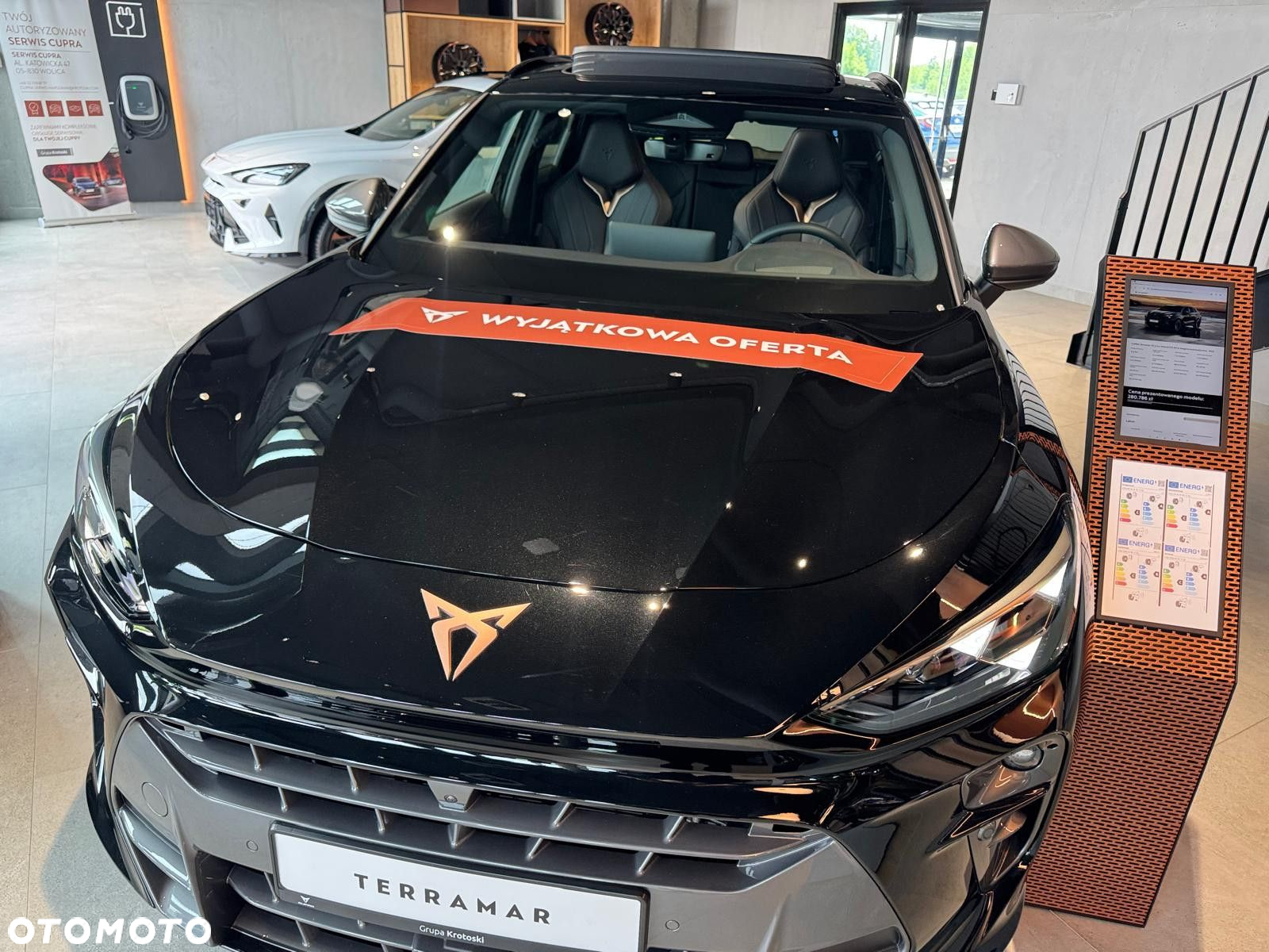 Cupra Terramar - 6