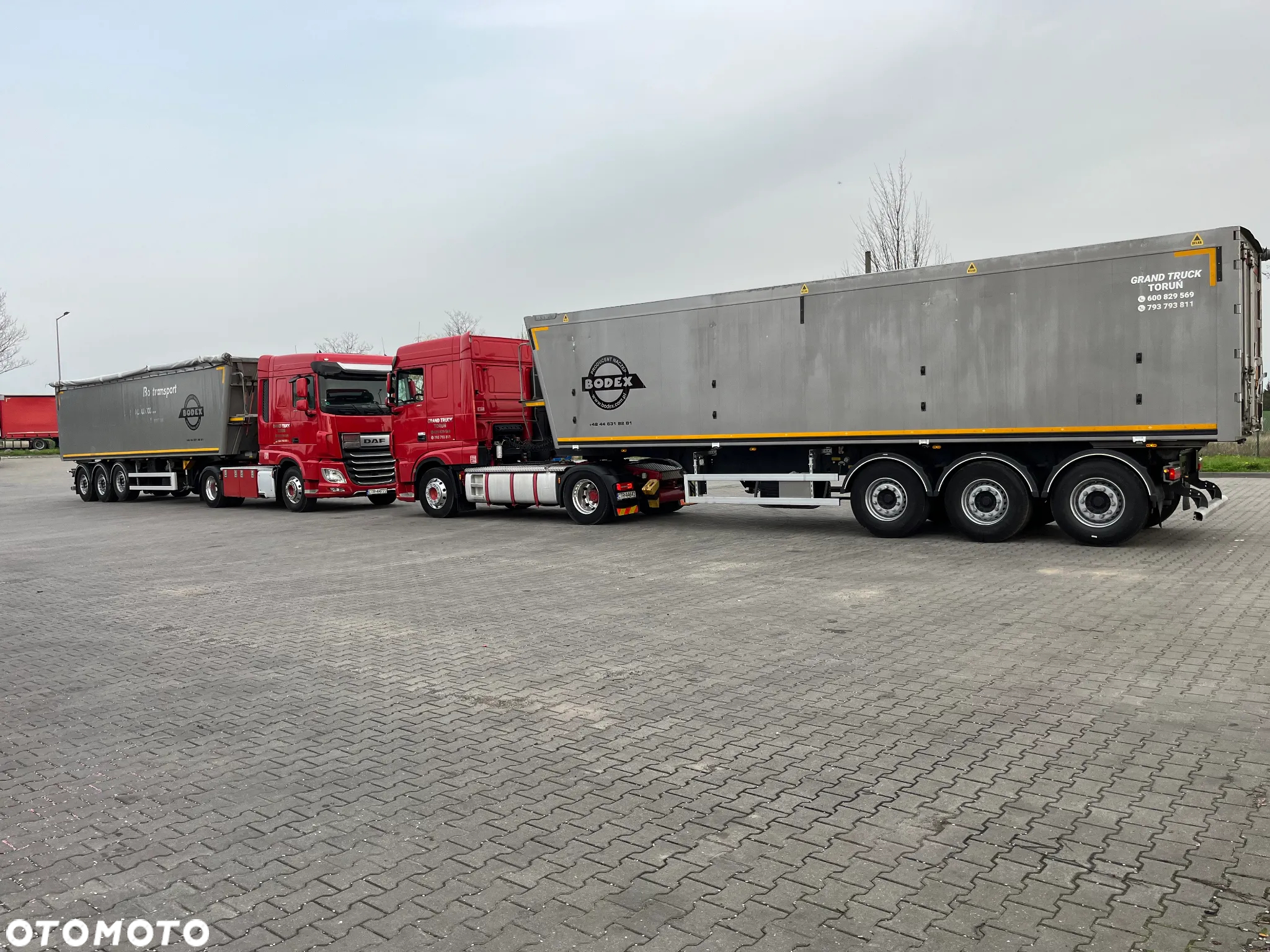 Bodex - 3