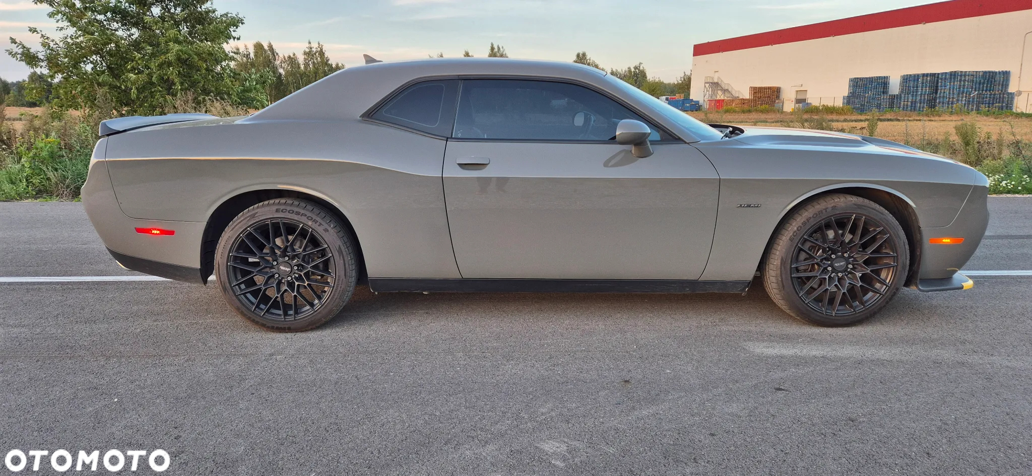 Dodge Challenger Automatik R/T Plus - 8