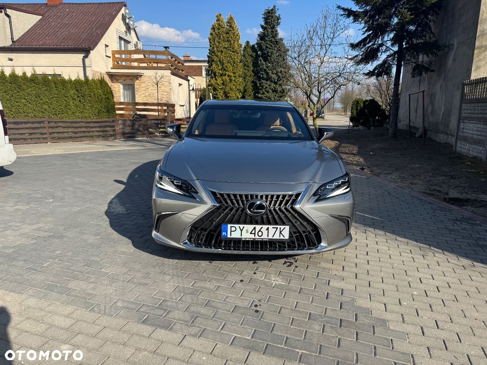 Lexus ES 300h Omotenashi - 3