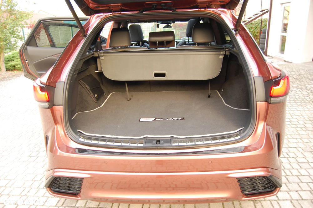 Lexus RX - 23