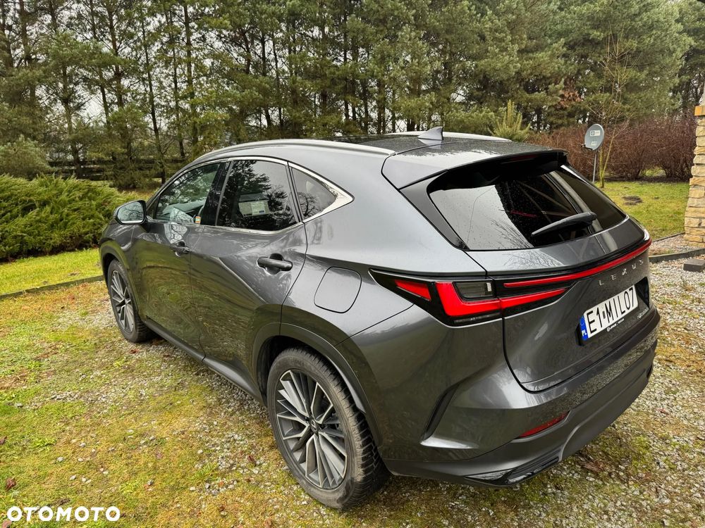 Lexus NX 350h Omotenashi AWD - 3