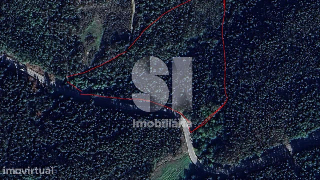 Terreno Rústico – 7.661 m² com Nascente de Água - Grande imagem: 3/3