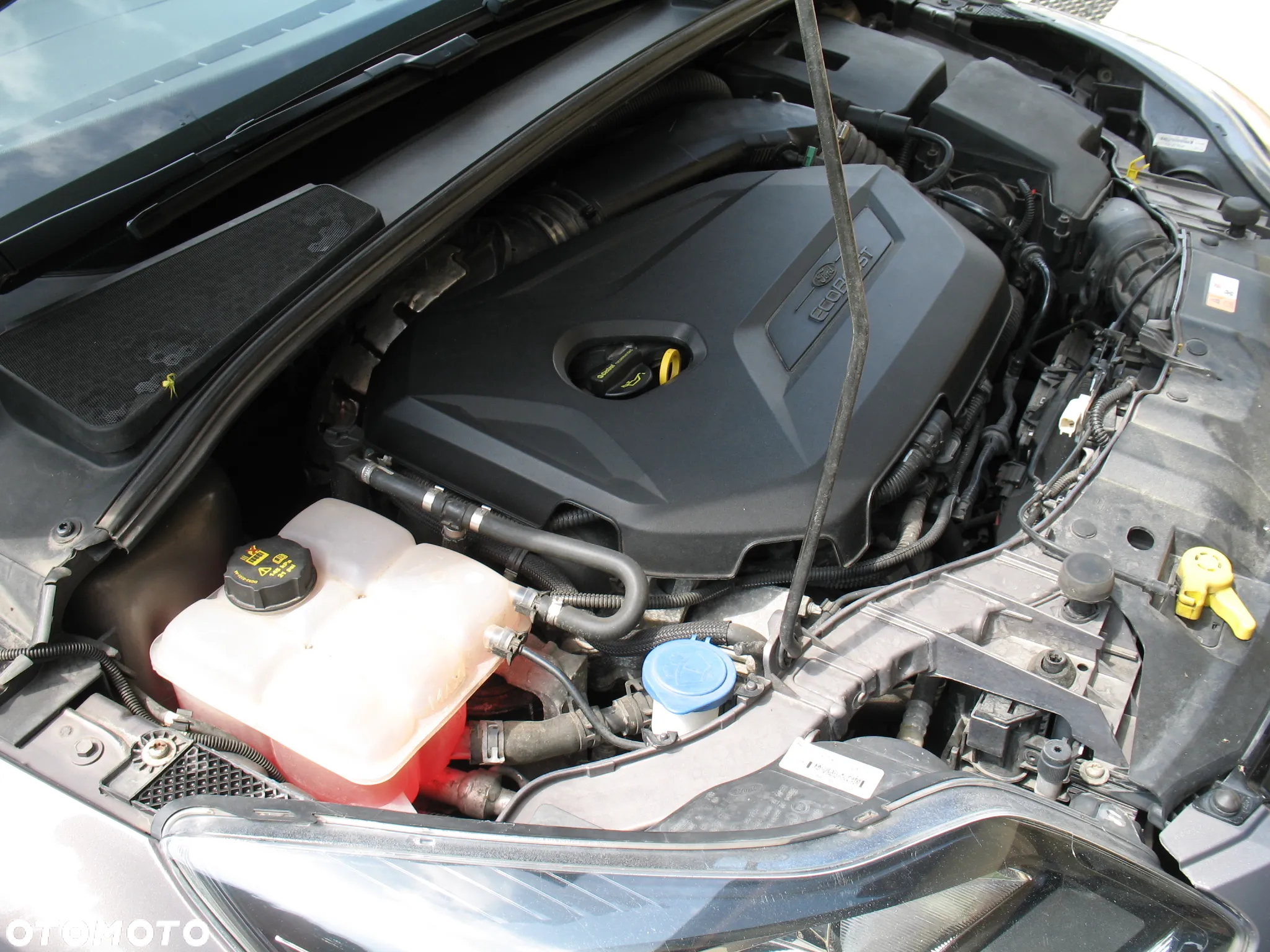 Ford Focus 1.6 EcoBoost Titanium - 20
