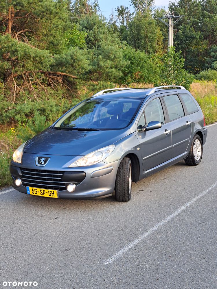 Peugeot 307 1.6 Premium - 1