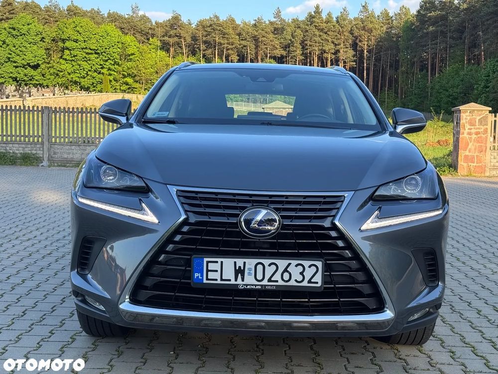 Lexus NX 300h Elegance + Business AWD - 6