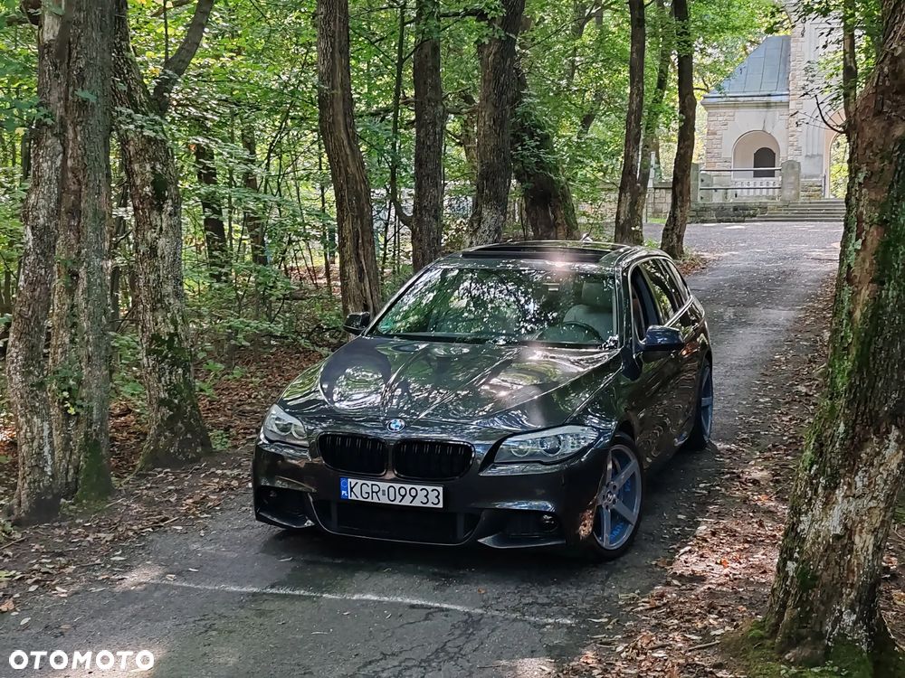 BMW Seria 5 520d Luxury Line - 6