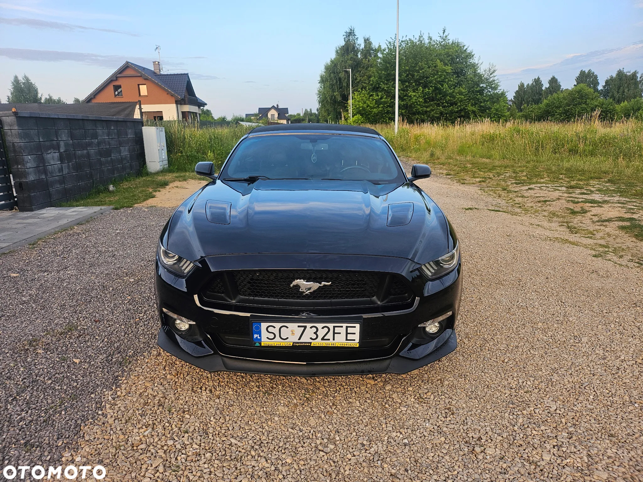 Ford Mustang - 7