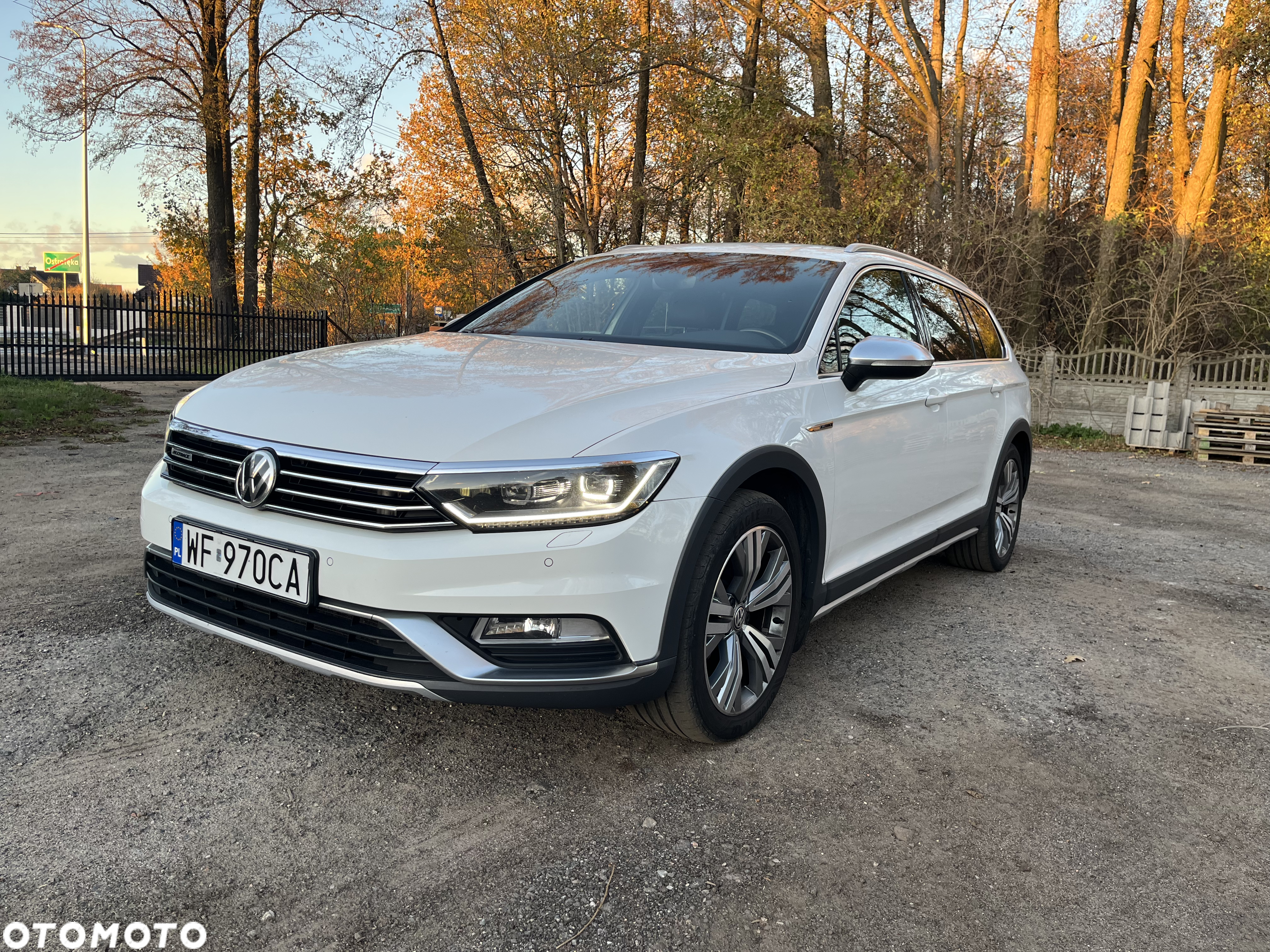 Volkswagen Passat Alltrack - 10