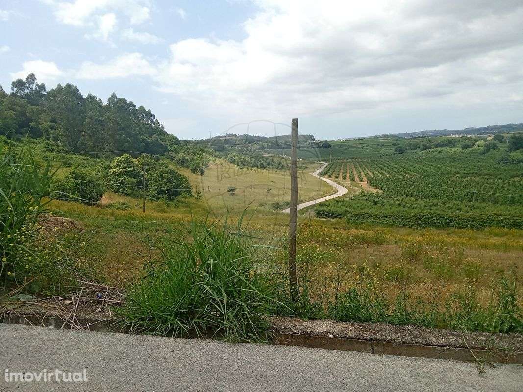 Terreno  para venda - Grande imagem: 3/4