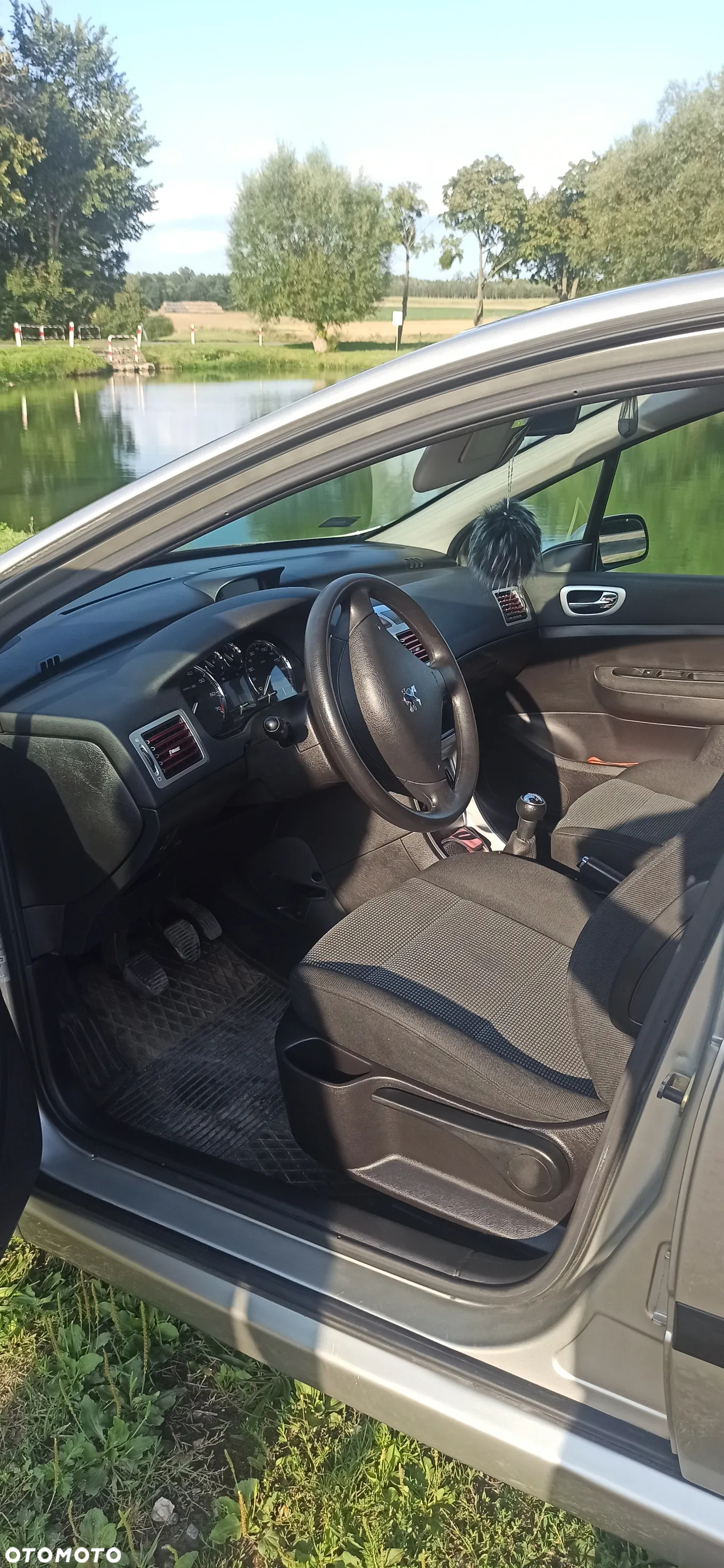 Peugeot 307 - 12