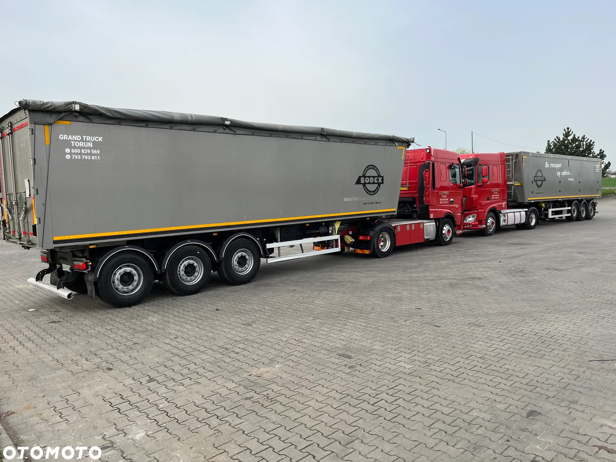 Bodex - 13