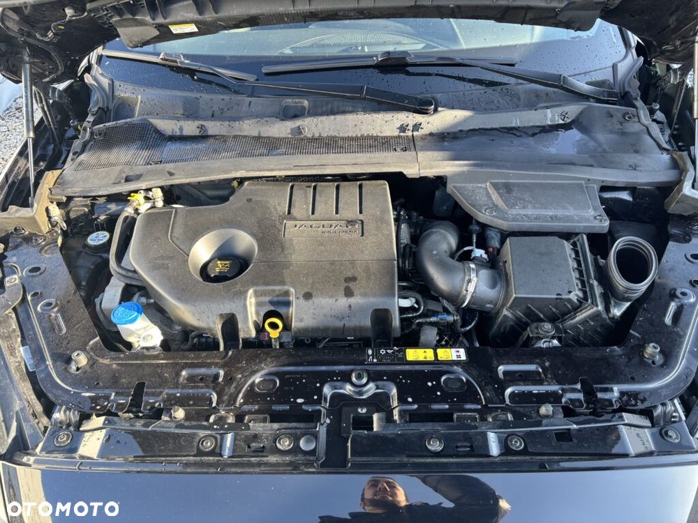 Jaguar E-Pace D150 - 18