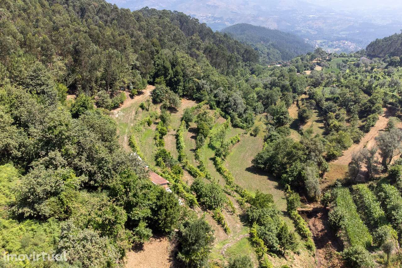 Terreno Agrícola à Venda em Seramil, Amares - Grande imagem: 2/28