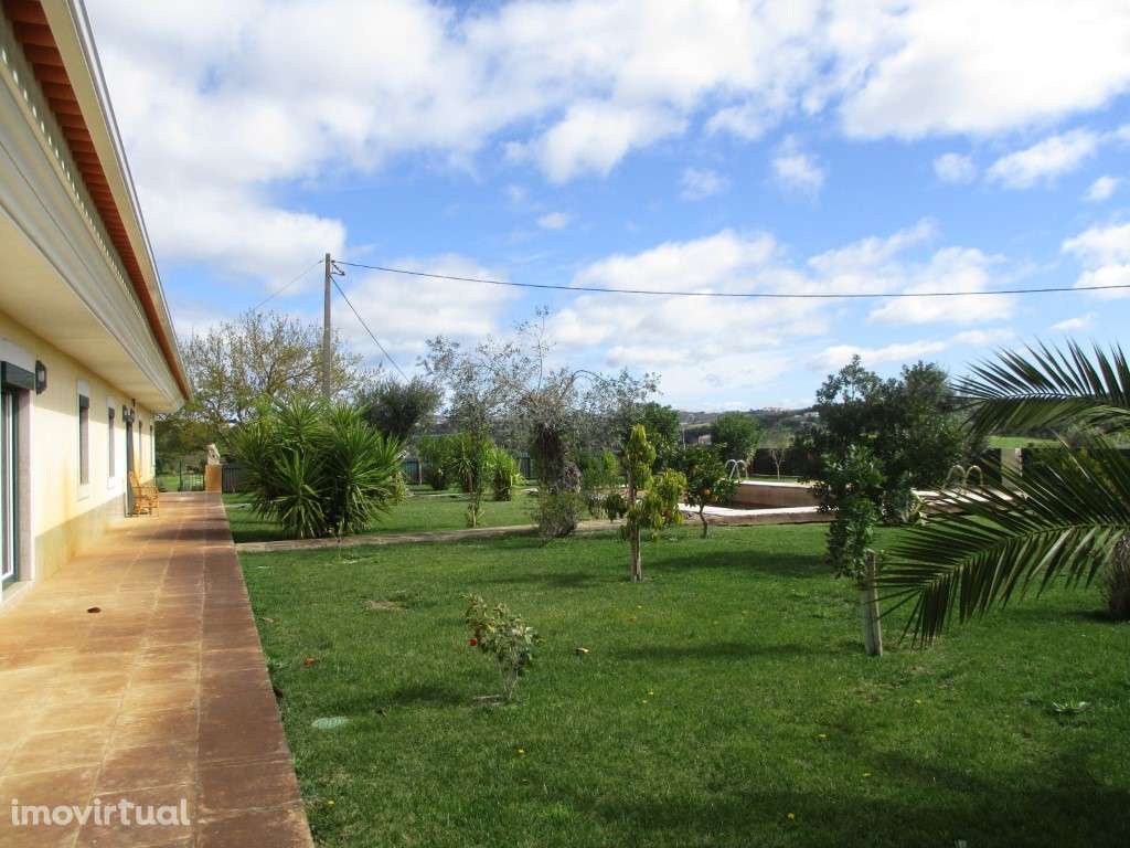 Monte Alentejano com 2,5 ha de vinha - Estremoz - Grande imagem: 2/33