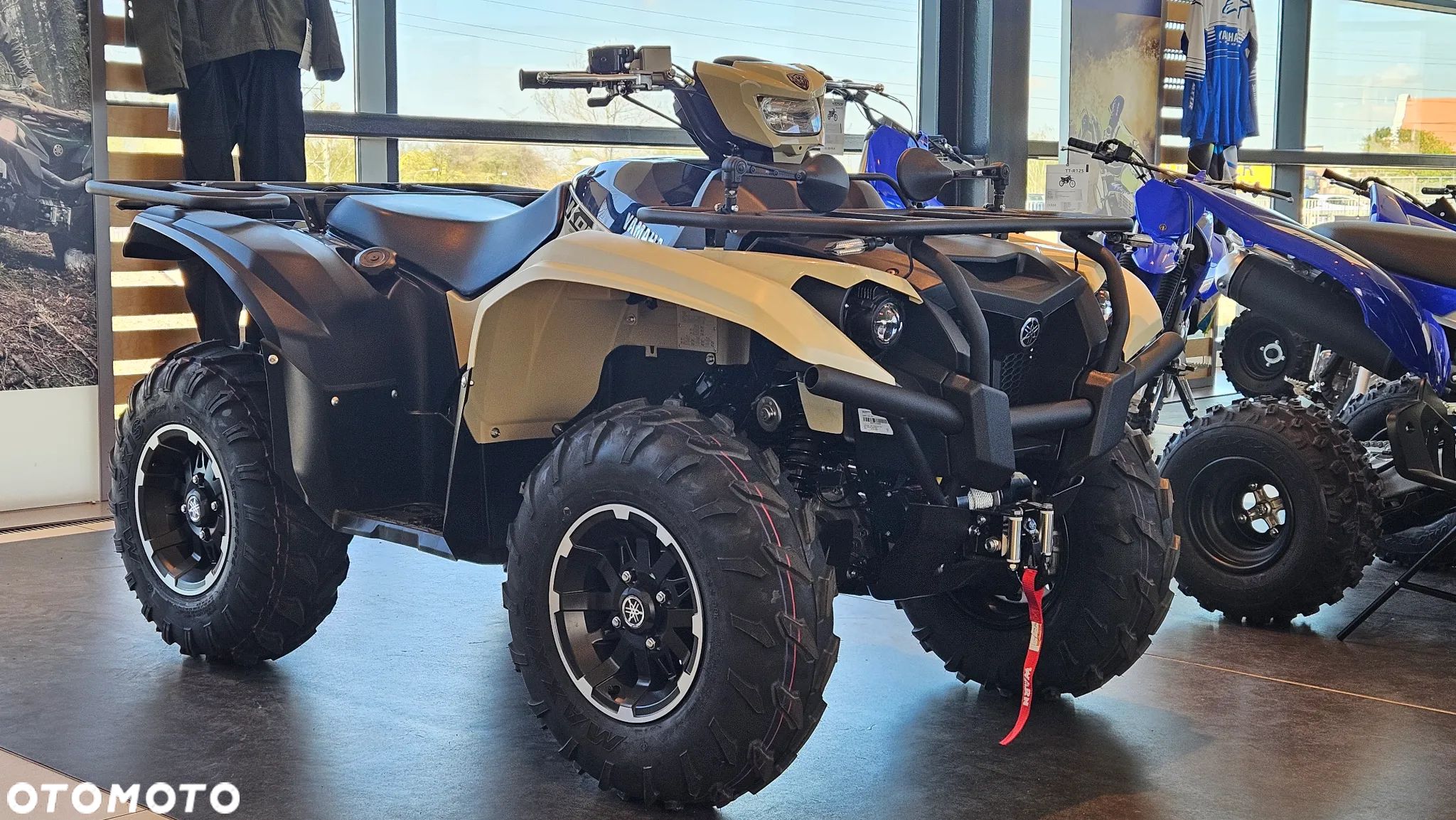 Yamaha Kodiak - 1