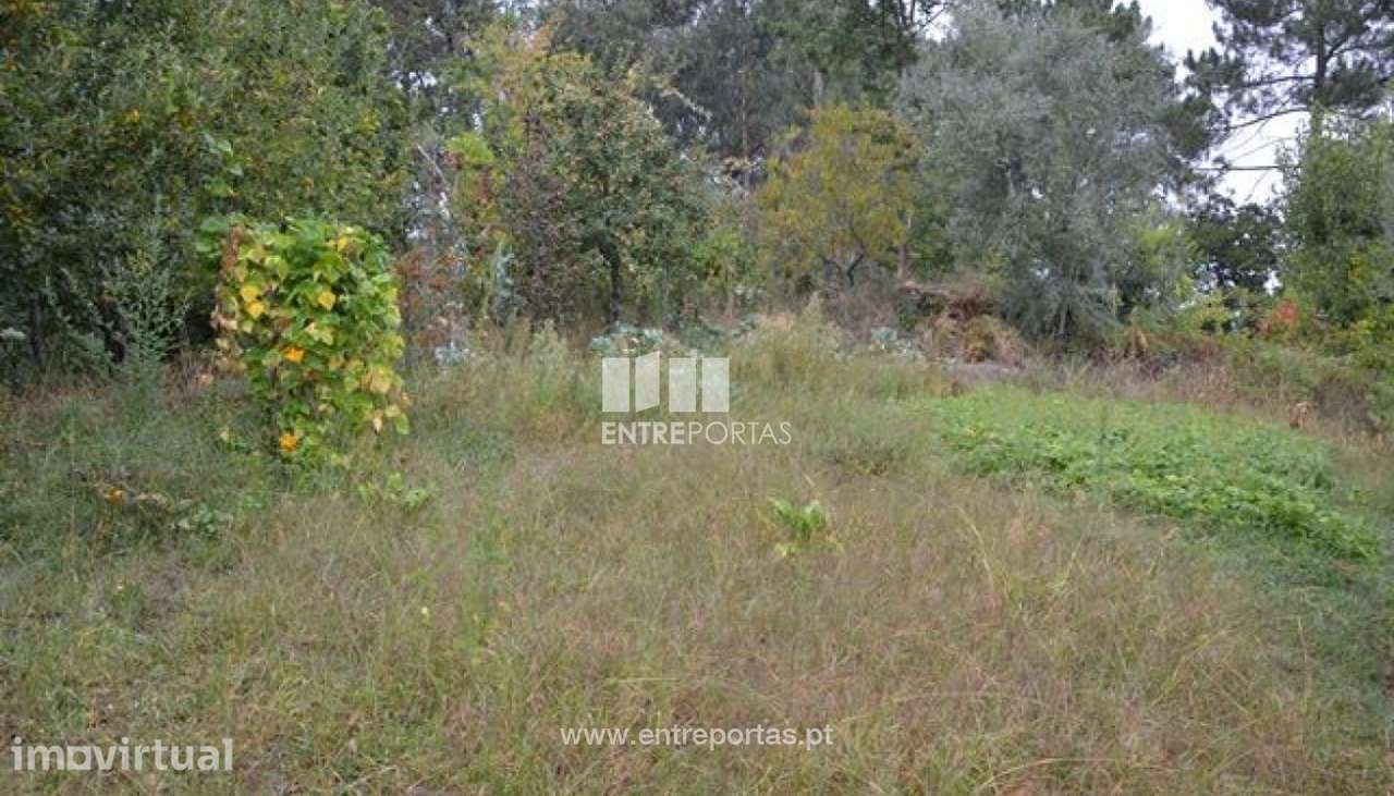 Venda Terreno, Várzea de Ovelha e Aliviada, Marco de Canaveses - Grande imagem: 4/8