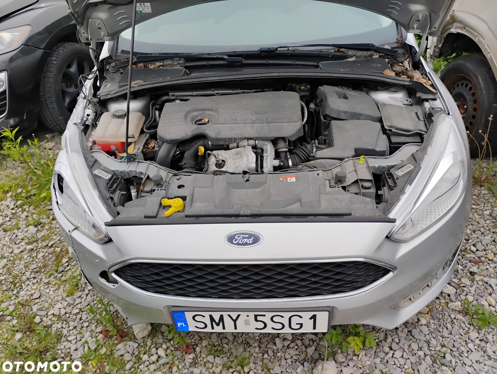 Ford Focus 1.5 TDCi Gold X - 5