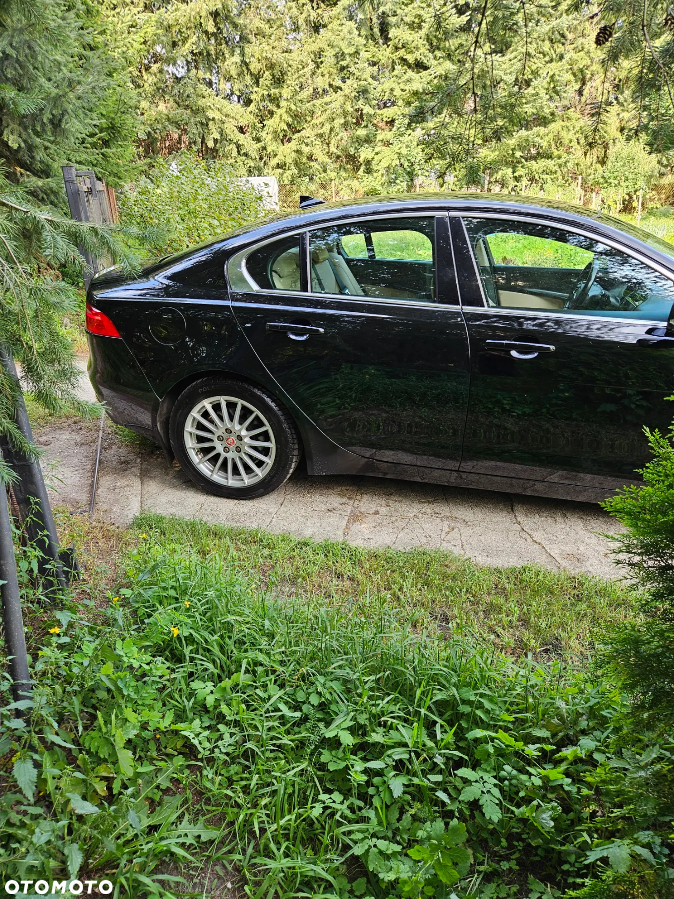 Jaguar XE 2.0 D Prestige - 7