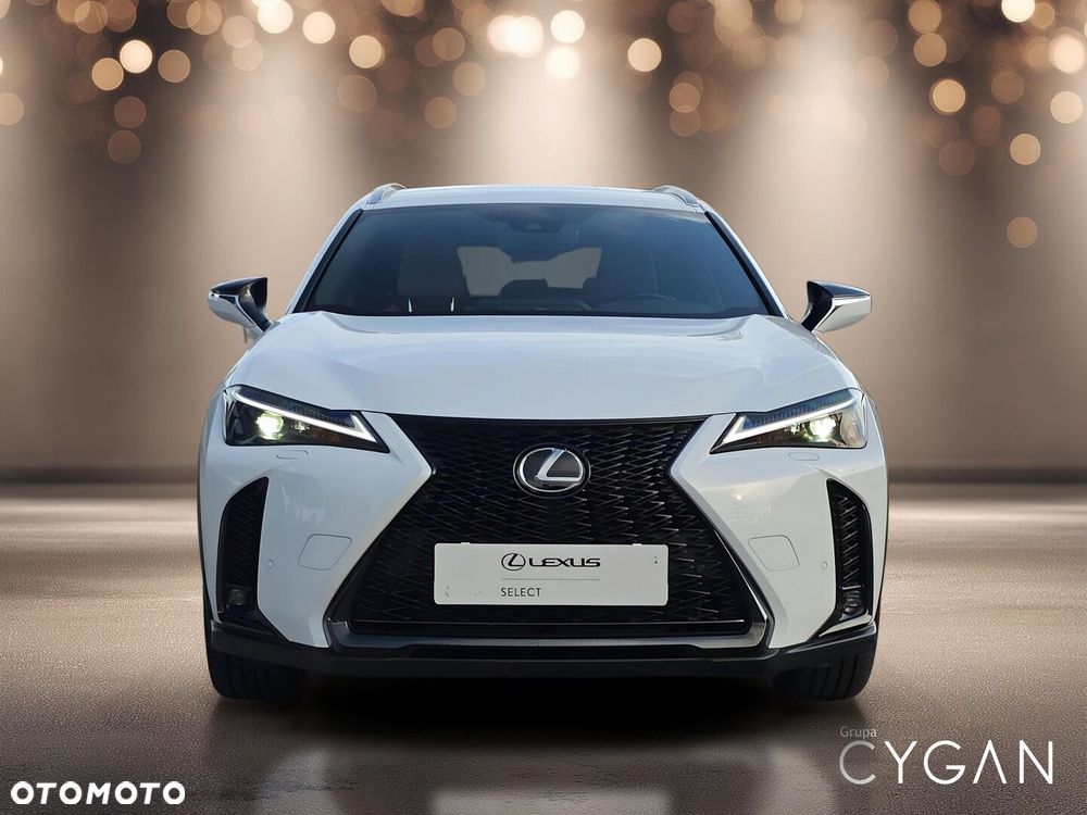Lexus UX 250h GPF F Sport Design+ 2WD - 10