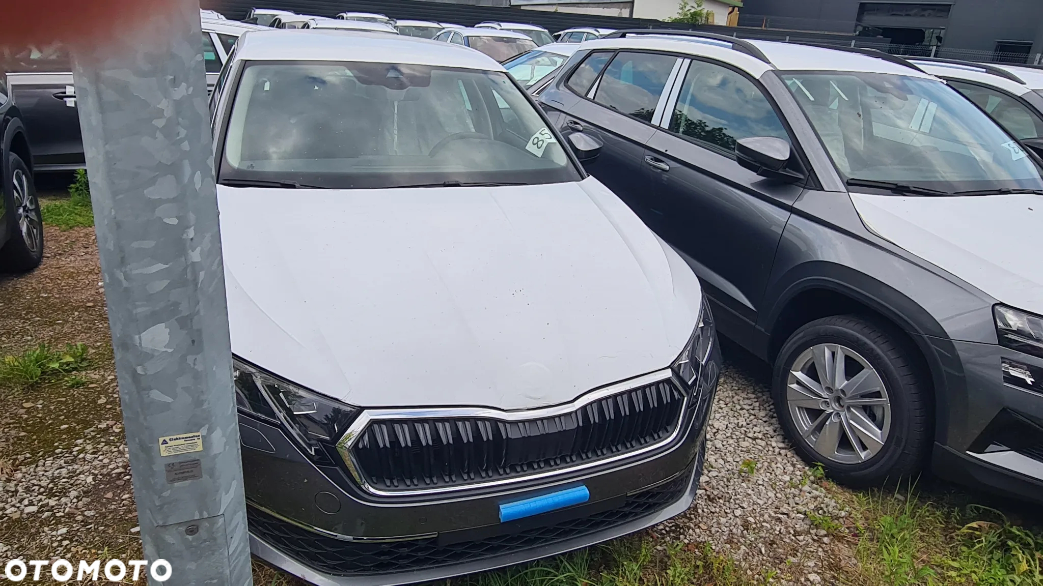 Skoda Octavia - 2