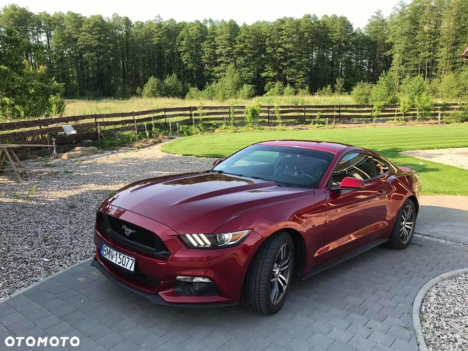 Ford Mustang 2.3 EcoBoost - 1